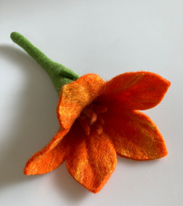 Bunte Filzblumen "Stern" einzeln oder Set (orange/weiß/gelb/rot/Purple) (Nepalaya)