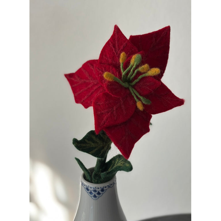 Blume roter Weihnachtsstern ca. 27cm (Globo Fair Trade Partner)